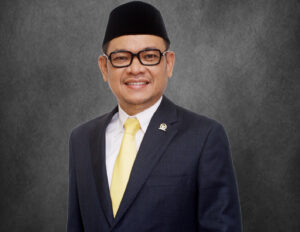 Ace Hasan Syadzily