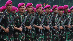 TNI-AD-pixabay