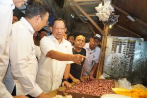 mendagri cek harga di pasar