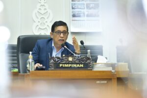 DPR RI Bob Hasan