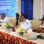 Wakil Menteri Dalam Negeri (Wamendagri) RI Ribka Haluk.