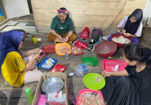 Warga pesisir Teluk Aru bekerja sama mengupas kepiting hasil tangkapan. Penelitian Universitas Pertamina menyoroti pentingnya diversifikasi pengolahan hasil laut sebagai jaring pengaman ekonomi saat musim paceklik melanda. (Foto: Dok. UPER)